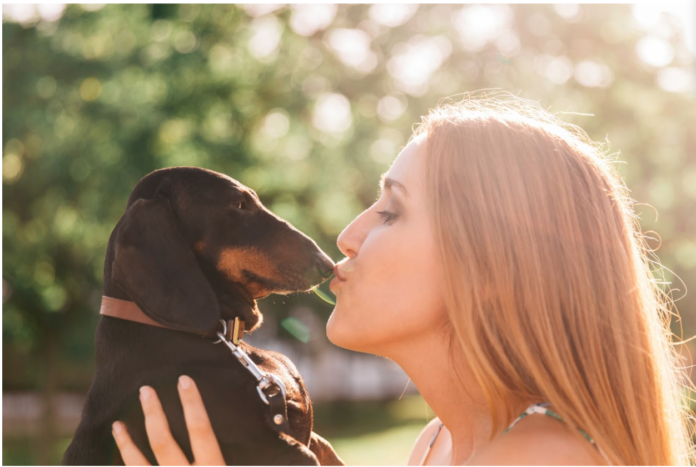 How to Teach Your Dog to Kiss: 3 Proven Methods